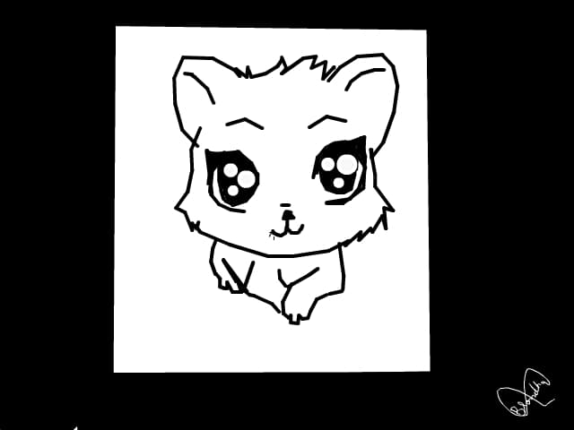 kitty