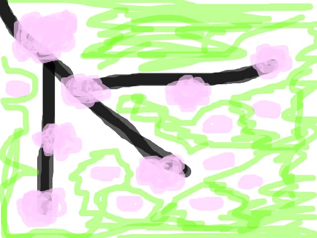 Flori de cirs