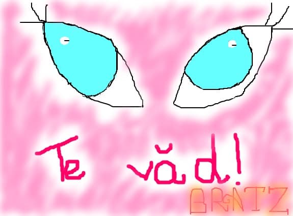 Ochi
