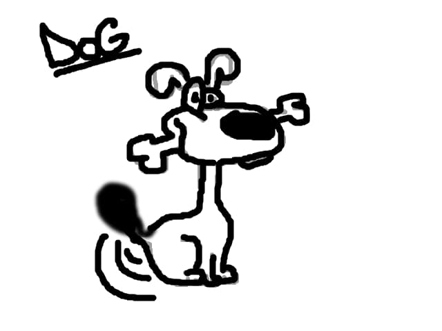 dog