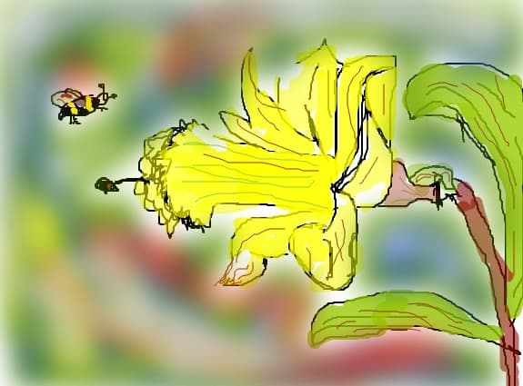 Floare