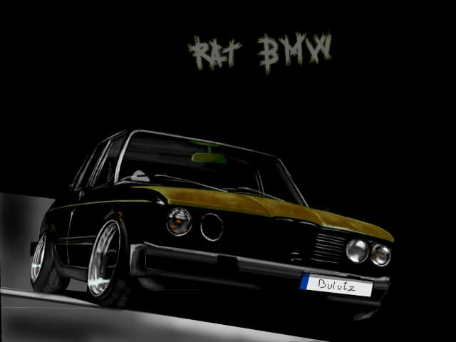 BMW e26