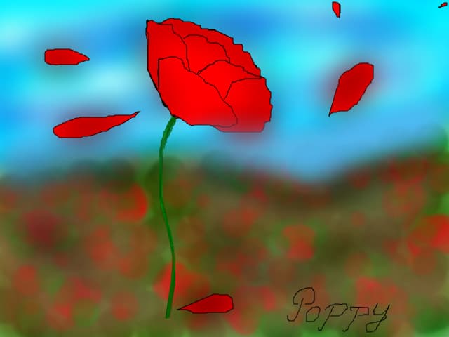 poppy