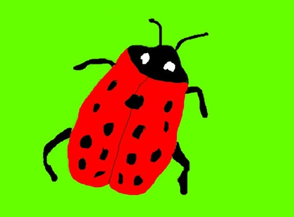 buburuza