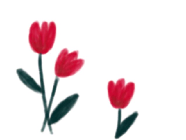 tulips