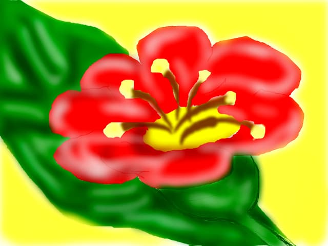 floare