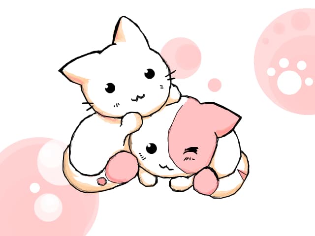 Pisicei <3