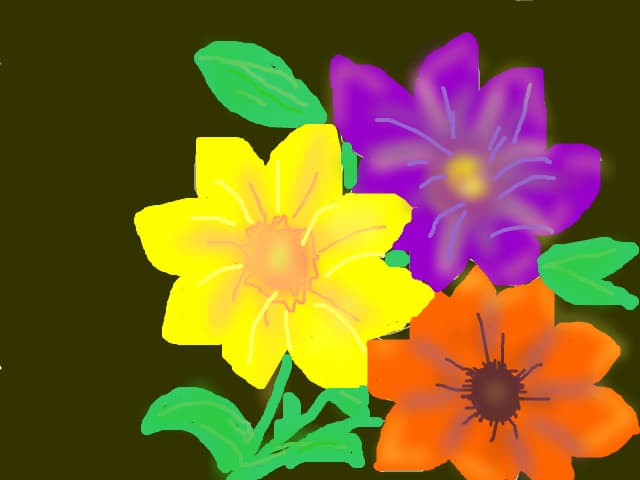 flori