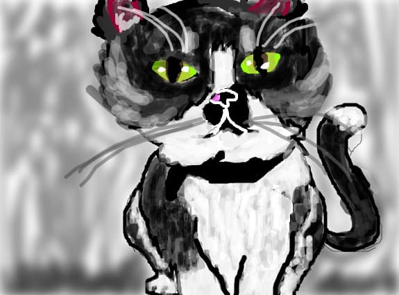 cat