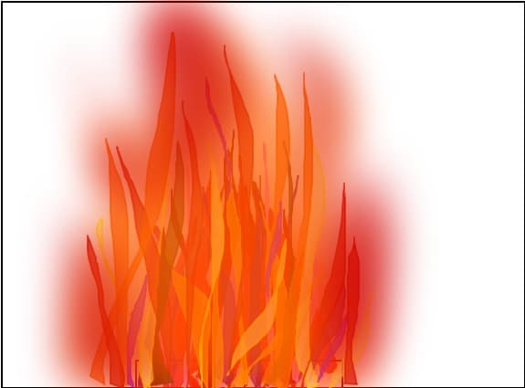 foc