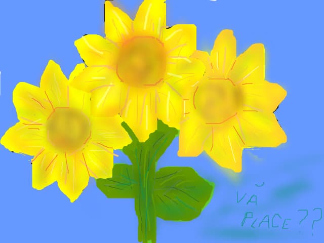 flori