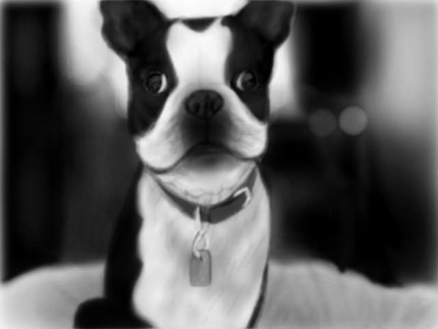 Black and white