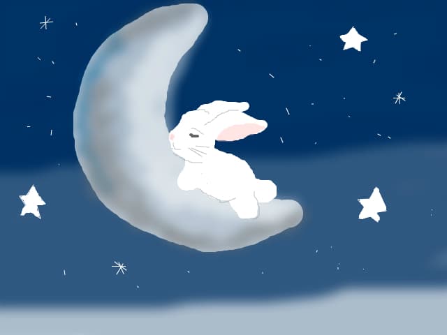 Bunny