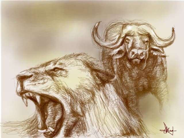 toro vs lion