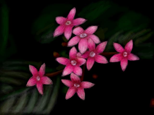 flori ascunse