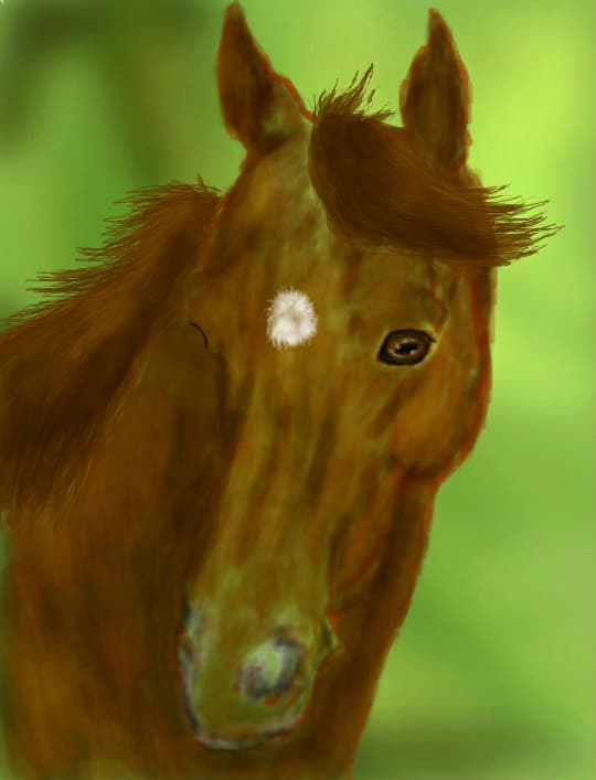 Portrait of a horsie :3