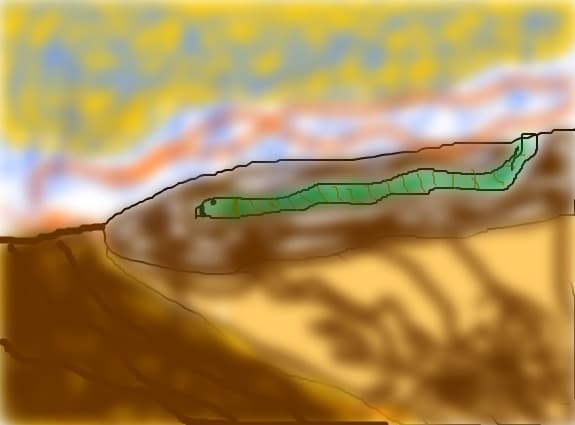 in desert