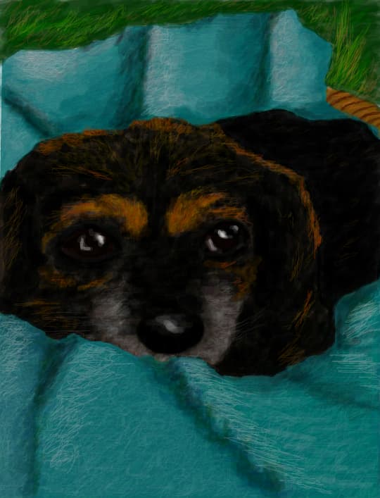 Max