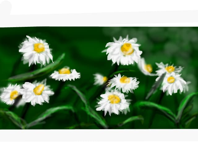 O floricica pt.fiecare
