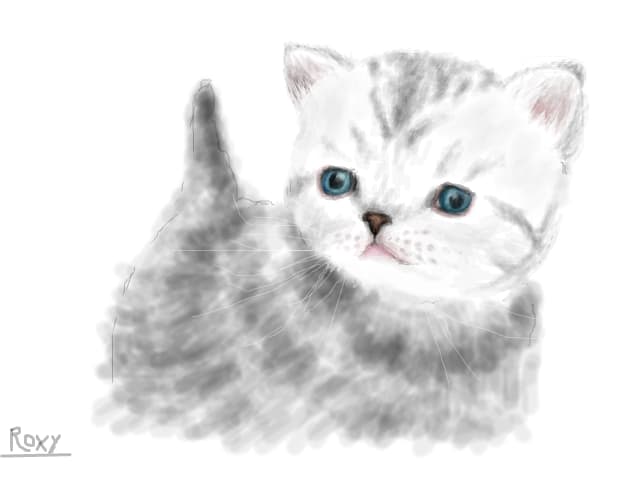 Pisi