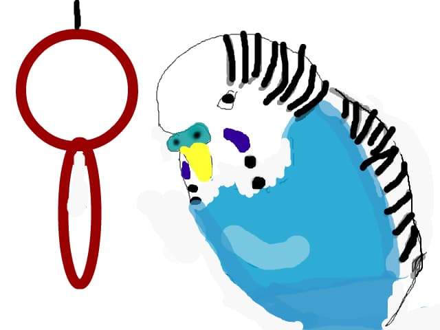 PApagalul
