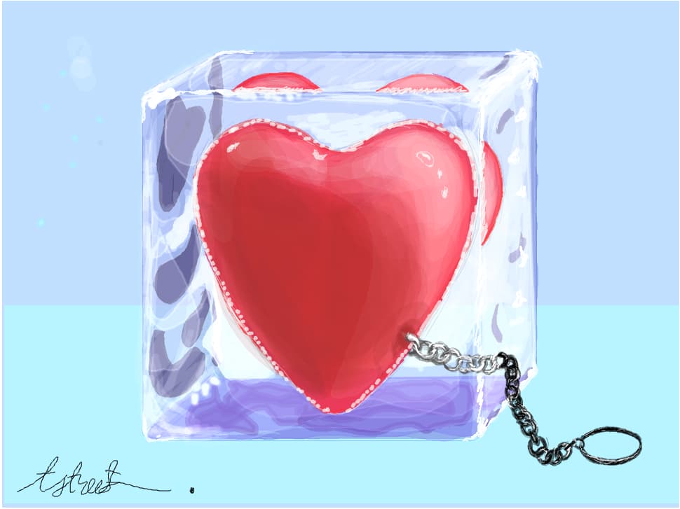 heart shaped box