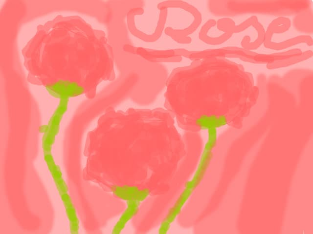 Roses-Valentine\'s Day