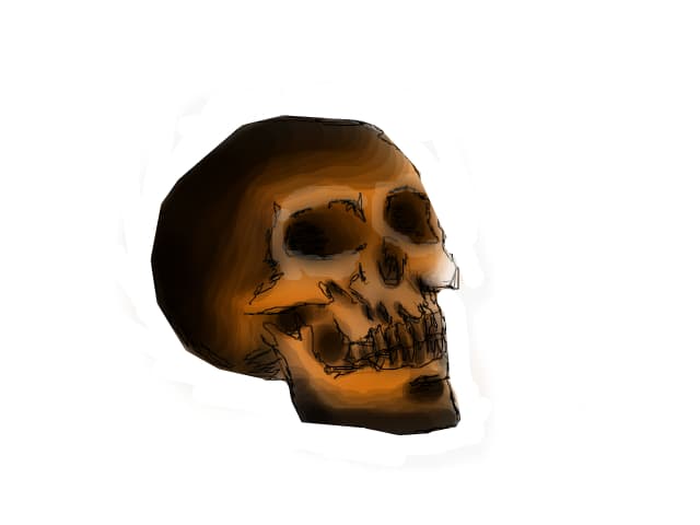 Skull