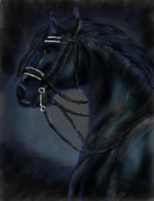 Black Horse