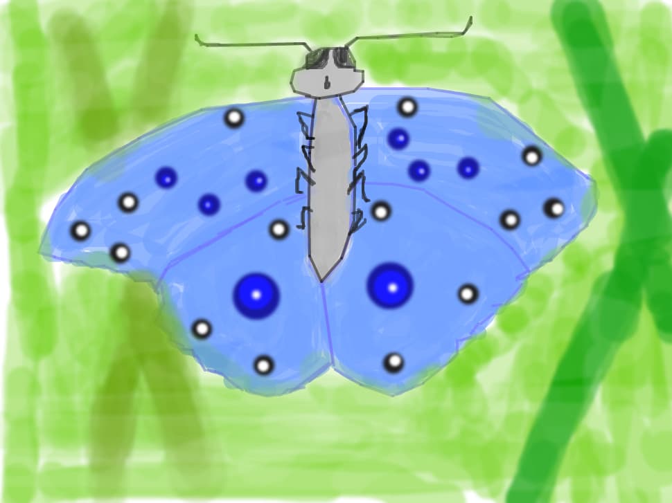 Fluturas