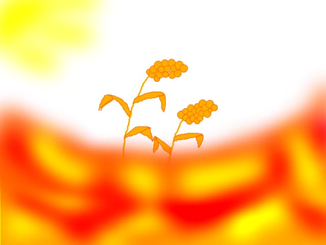 Lan de grau