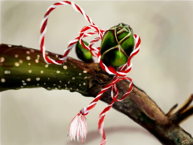 martisor pentru voi>:d<