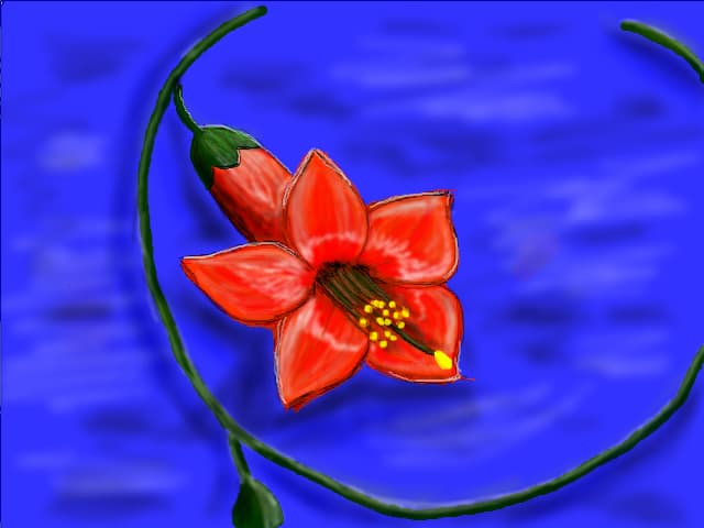 z.mirela