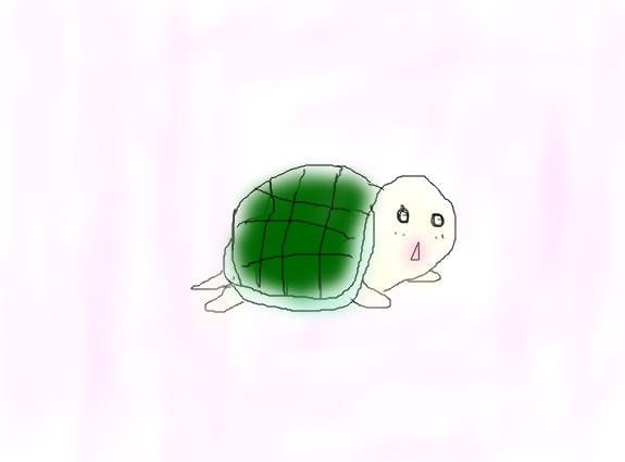 Kame-san