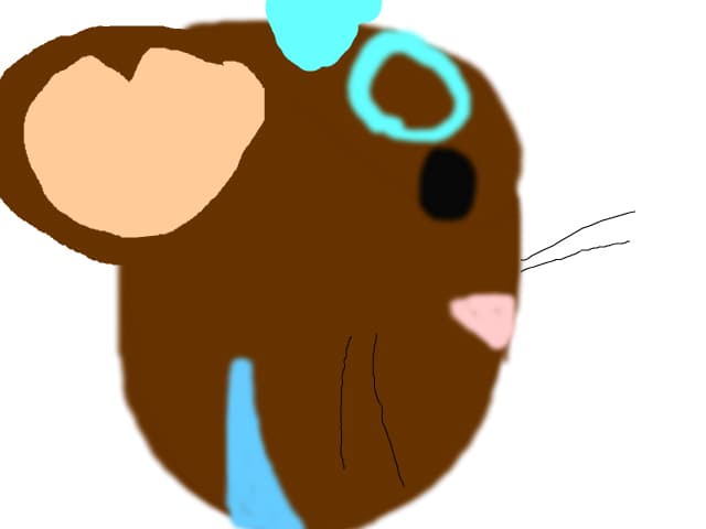 transformice