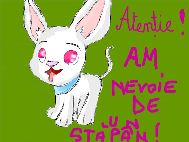Chihuahua