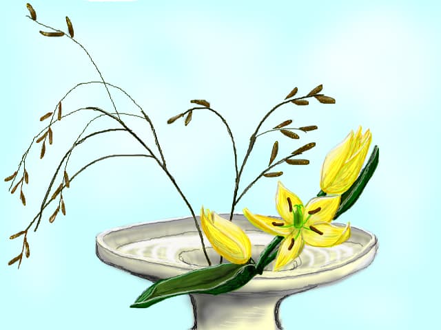 z.mirela