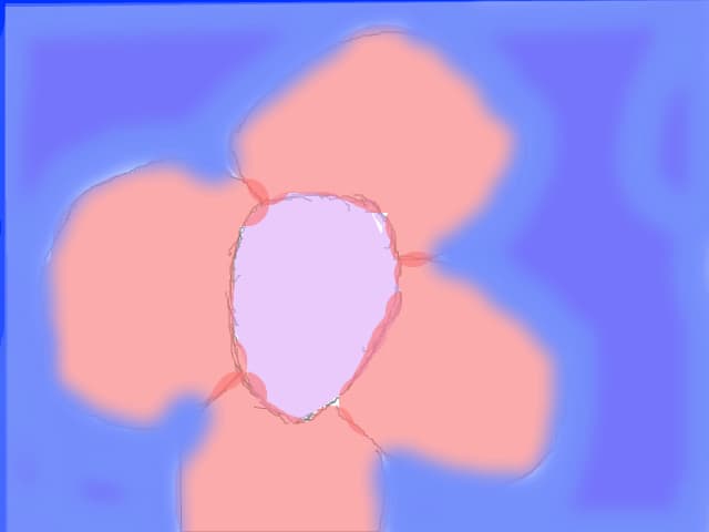 e o floare pe apa