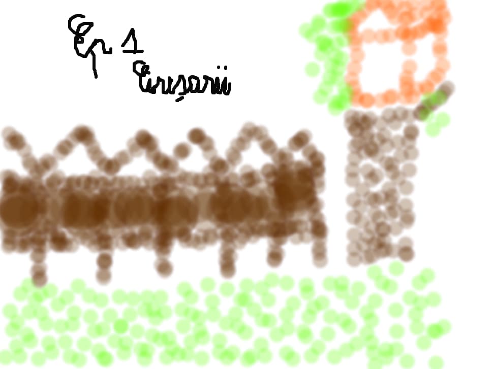 Casuta celor 4 personaje