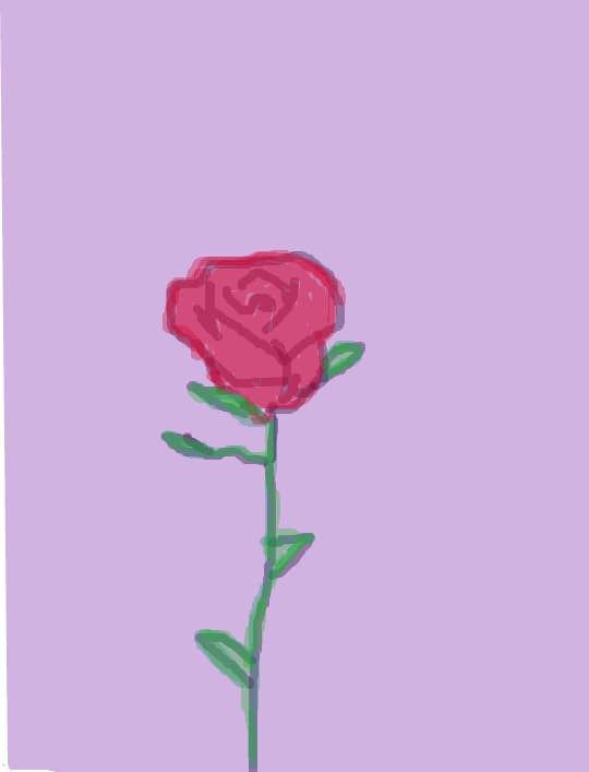 rose