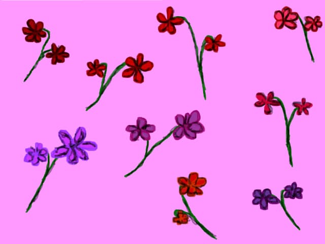 Flori