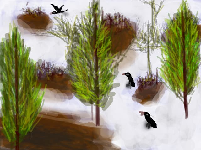 winter