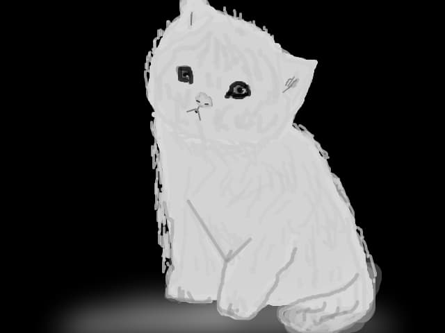 Pussy cat