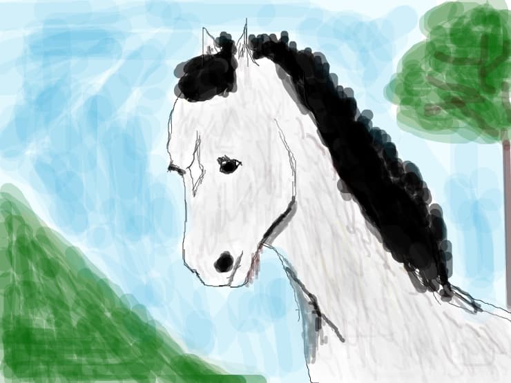 Horse