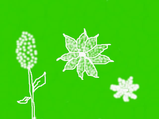 flori