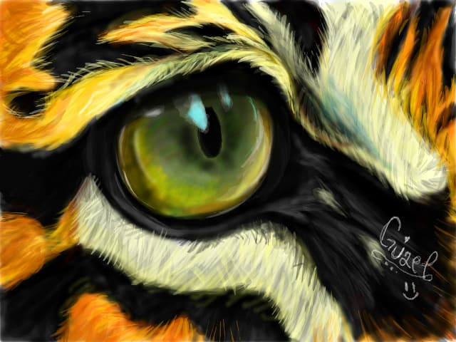 tiger eye