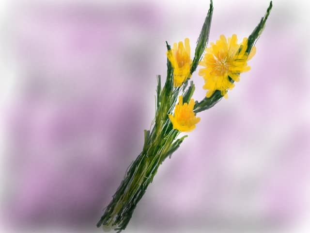FLORI