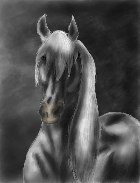 White Horse