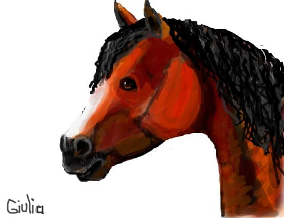 portret de cal