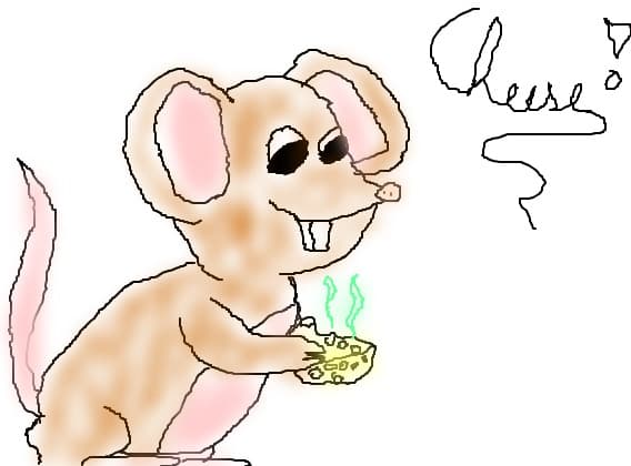 mouse